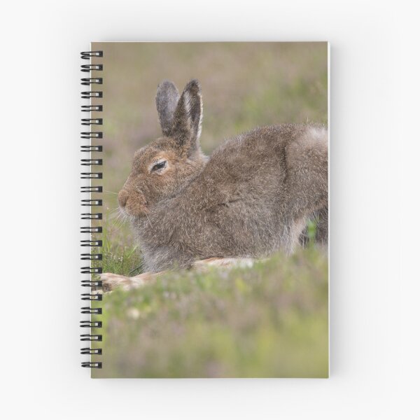 Item preview, Mountain Hare designed and sold by Karen Miller.