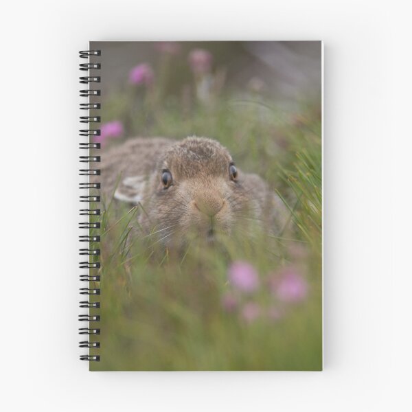 Item preview, Mountain Hare designed and sold by Karen Miller.