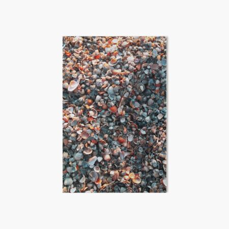 Shells on the Beach Art Board Print