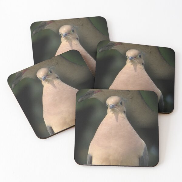 Item preview, Mourning Dove Portrait  designed and sold by Sam Morrison.