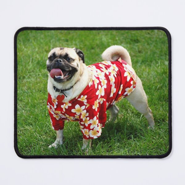 Item preview, Party Pug designed and sold by imphavok.