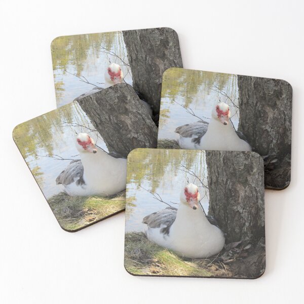 Item preview, Muscovy Duck designed and sold by imphavok.
