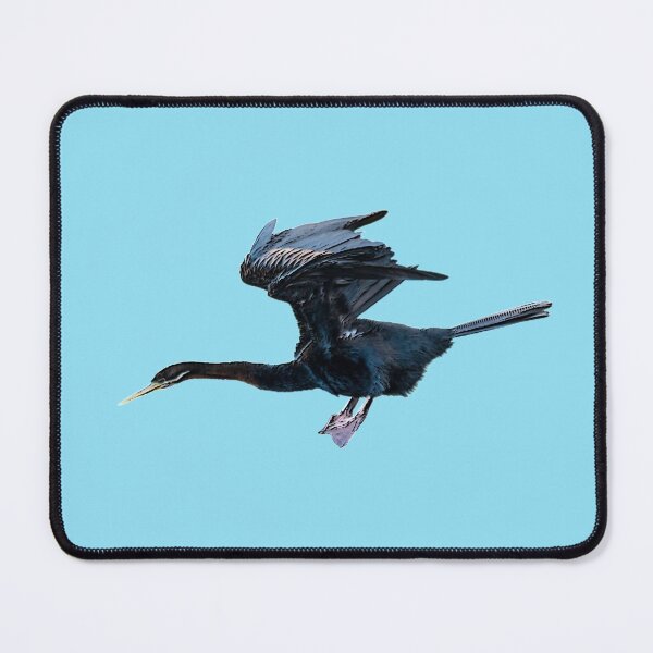 Item preview, Australian Darter Color Print  designed and sold by designsasstultd.