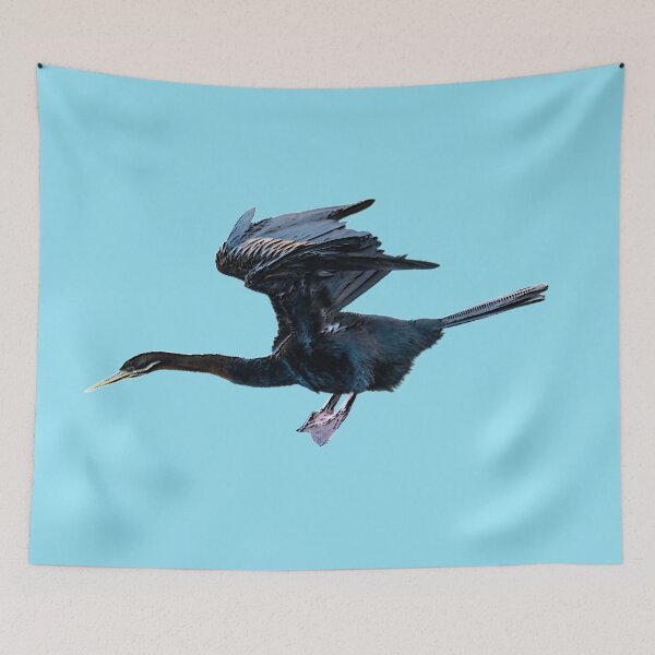 Item preview, Australian Darter Color Print  designed and sold by designsasstultd.