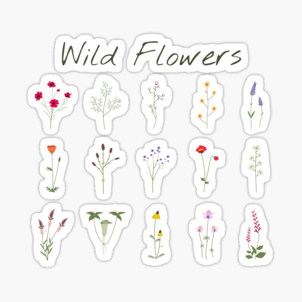 Handdrawn Wildflower Stickers Sticker for Sale by GlowinUp Shop