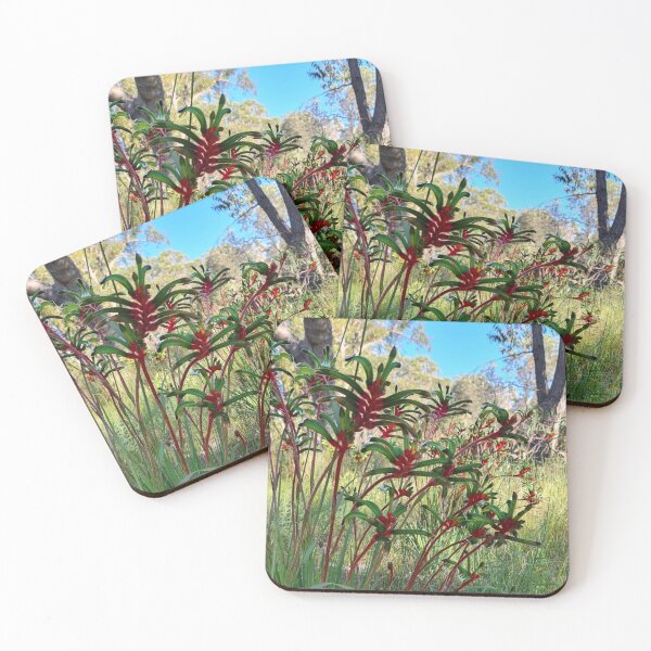 Item preview, Kangaroo Paws in Banksia woodland  designed and sold by LCNNativePlants.