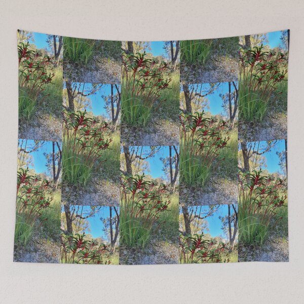 Item preview, Kangaroo Paws in Banksia woodland  designed and sold by LCNNativePlants.