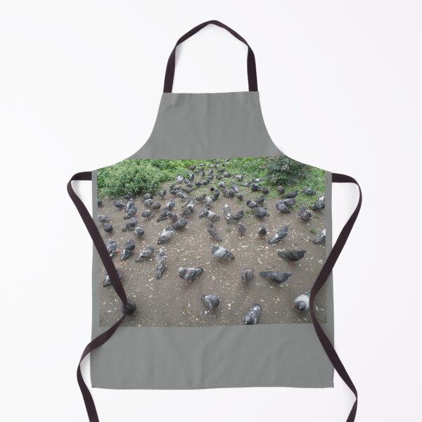 Item preview, Path Full of Pigeons Photograph designed and sold by naturegallery.