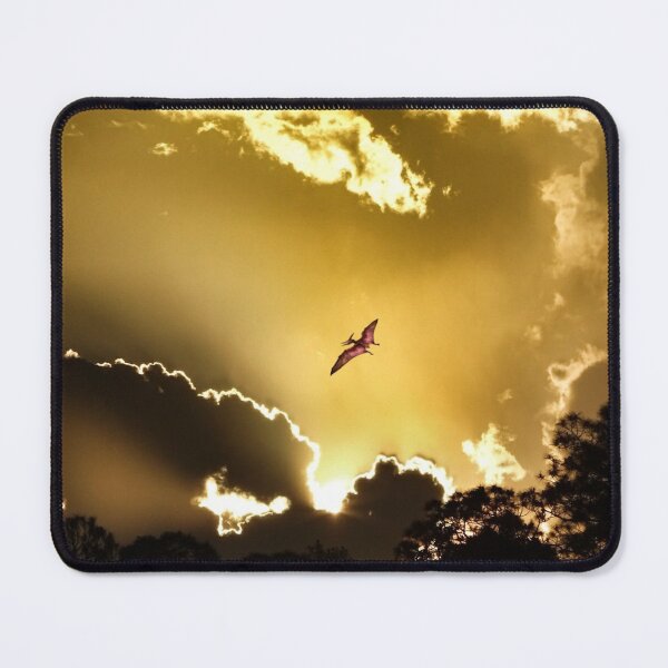 Item preview, Soar like a bird designed and sold by Dead-Moroz.