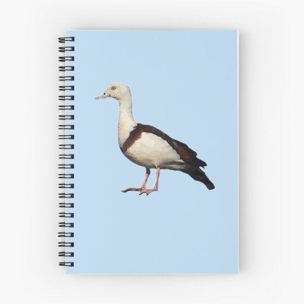 Item preview, Radjah Shelduck Color Print  designed and sold by designsasstultd.