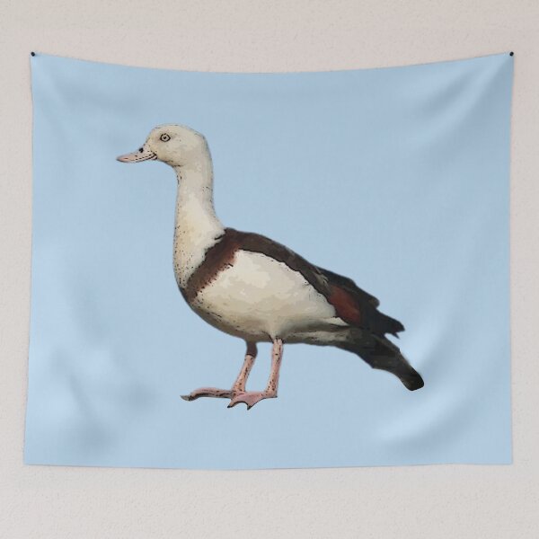 Item preview, Radjah Shelduck Color Print  designed and sold by designsasstultd.