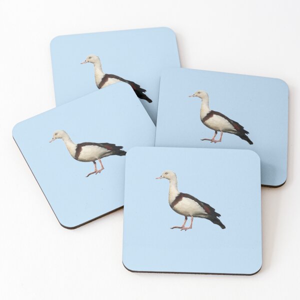 Item preview, Radjah Shelduck Color Print  designed and sold by designsasstultd.