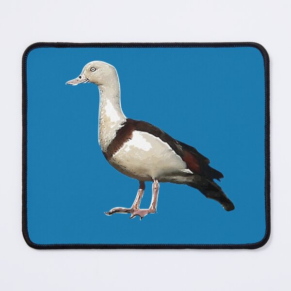 Item preview,   Radjah Shelduck White Alternate Print  designed and sold by designsasstultd.