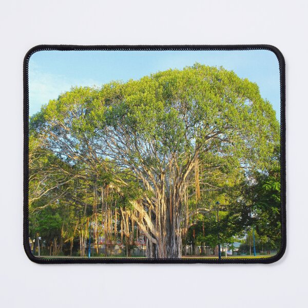 Item preview, Banyan Tree designed and sold by AHELENE.