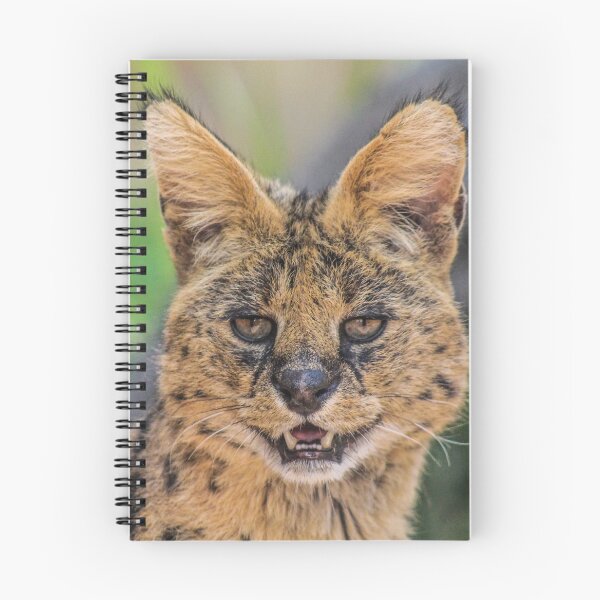 Item preview, beautiful serval designed and sold by abphotography92.