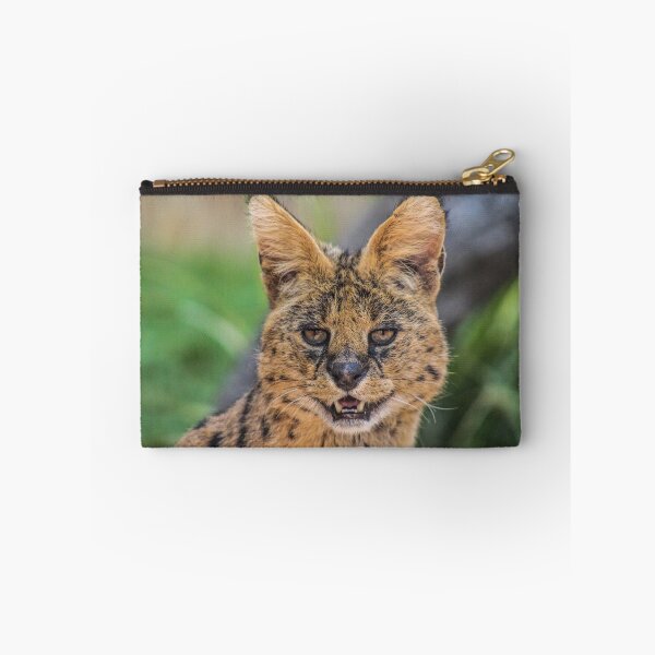 Item preview, beautiful serval designed and sold by abphotography92.