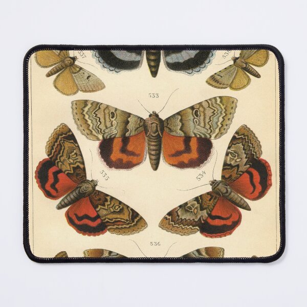Item preview, Entomology Lepidoptera designed and sold by spikemet.