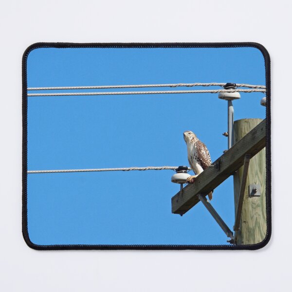 Item preview, Red Tailed Hawk on Telephone Pole 2 designed and sold by Susie Kramer.
