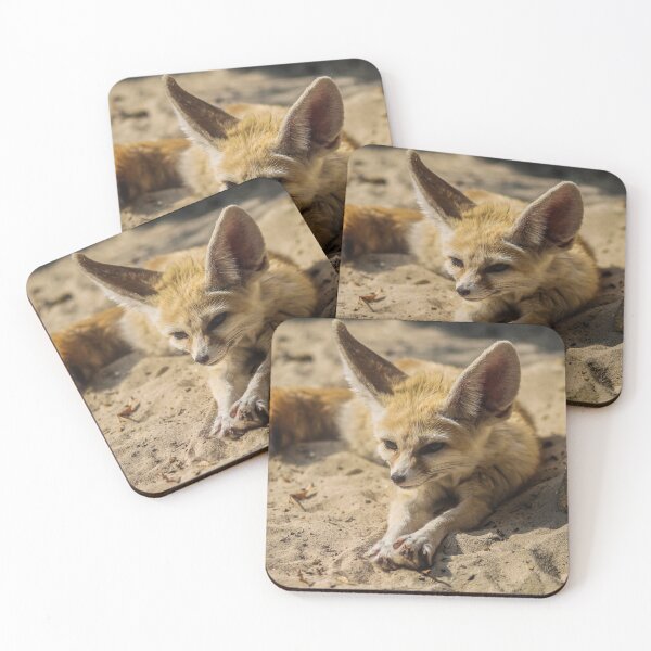 Item preview, Fennec fox  designed and sold by abphotography92.