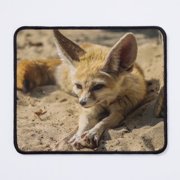 Item preview, Fennec fox designed and sold by abphotography92.