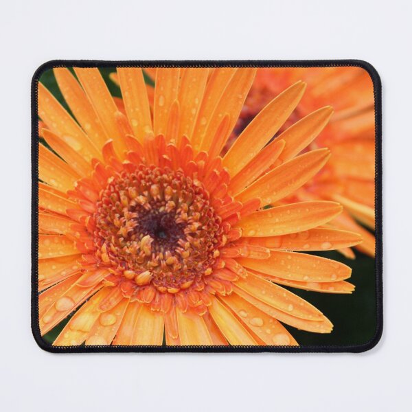 Item preview, Orange Gerber Daisy after the Rain designed and sold by Susie Kramer.