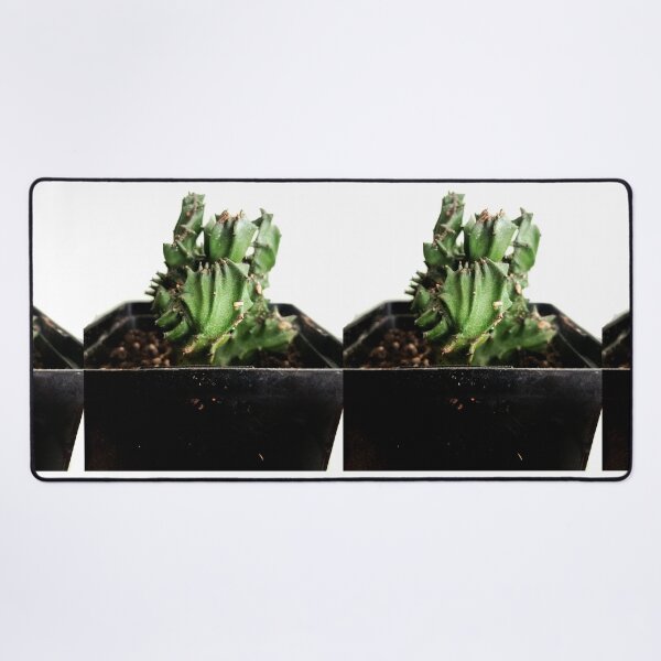 Item preview, Cactus designed and sold by Ian Wylie.