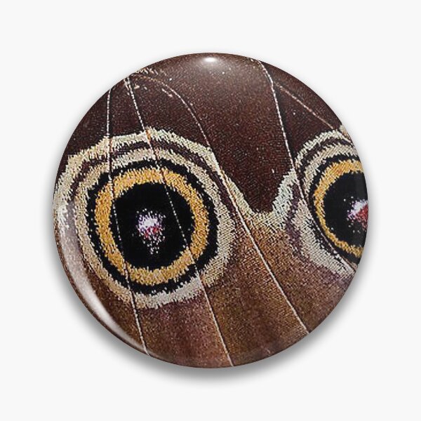 Item preview, Blue Morpho peleides Design designed and sold by spikemet.