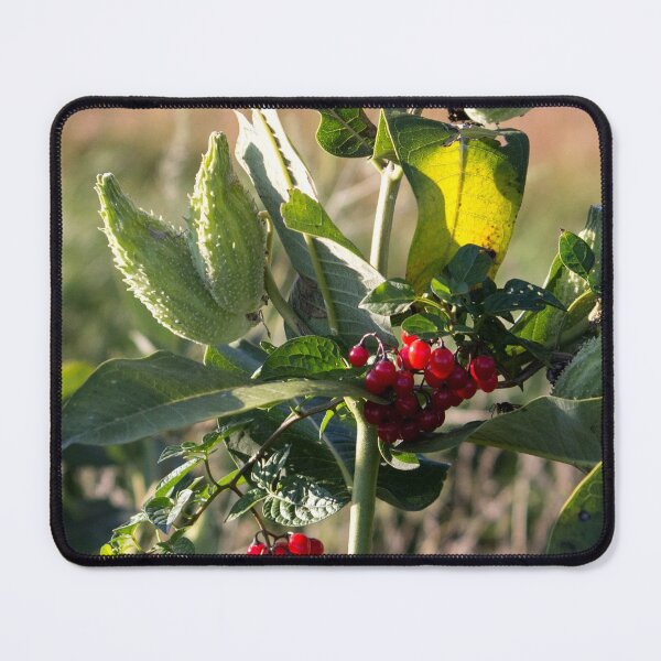 Item preview, Milk Weed and Red Berries designed and sold by Susie Kramer.