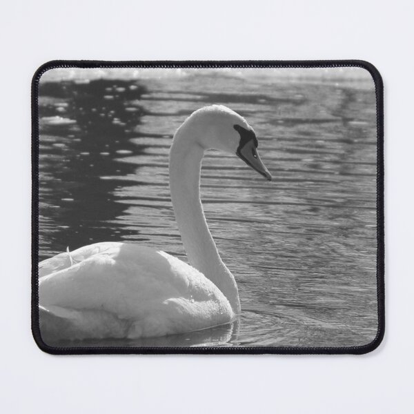 Item preview, Black and White Swan Horizontal designed and sold by Susie Kramer.