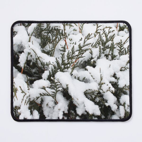 Item preview, Cedar in the Snow designed and sold by Susie Kramer.