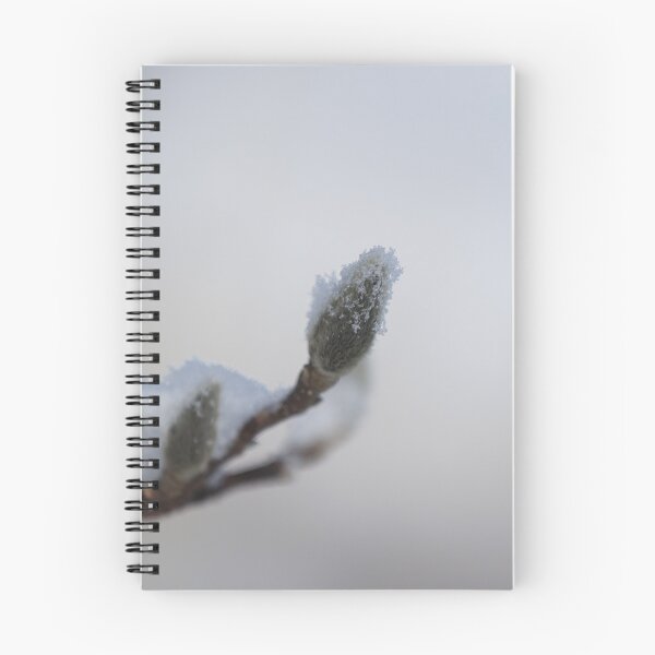 Item preview, Bud designed and sold by Photos-by-Loche.