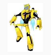 TFA Bumblebee Photographic Print