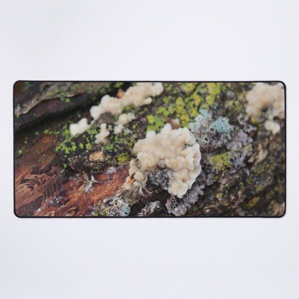 Item preview, Fungus on a Log designed and sold by Susie Kramer.