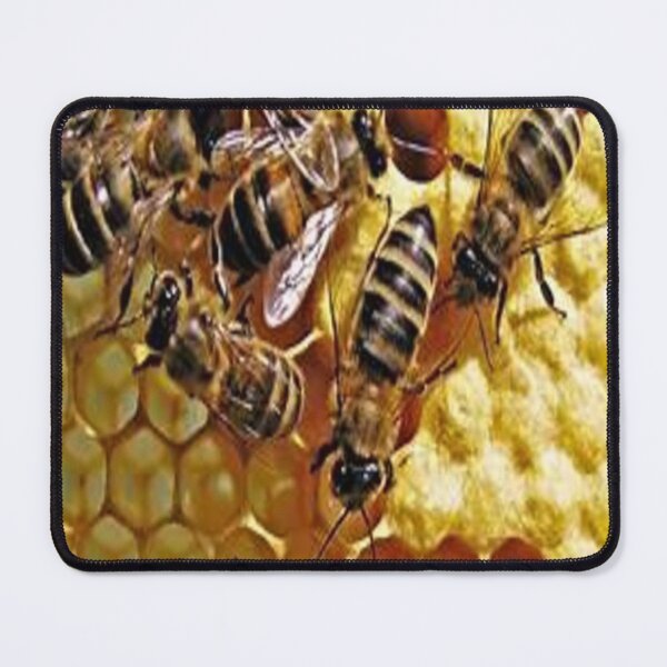 Item preview, bees n honeycomb designed and sold by nigejohn.