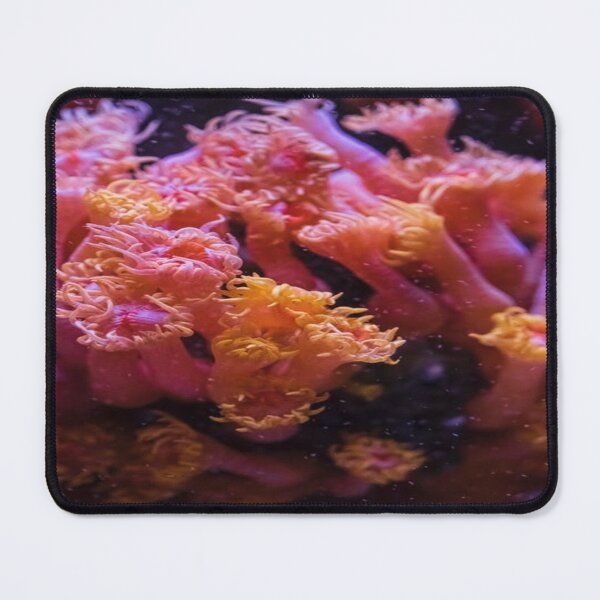 pink coral Mouse Pad