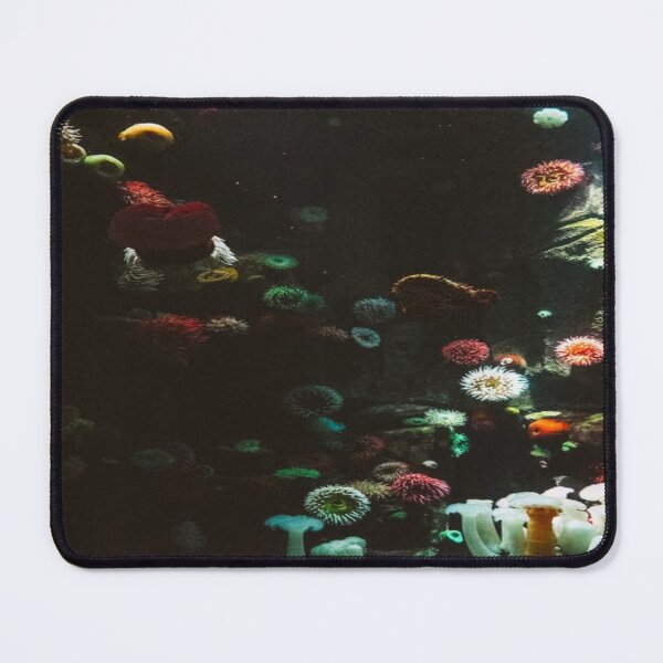 coral reef Mouse Pad