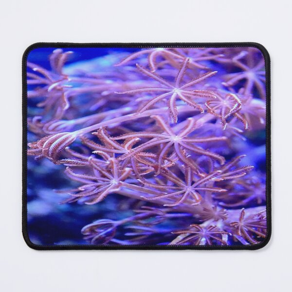 pink coral reef Mouse Pad