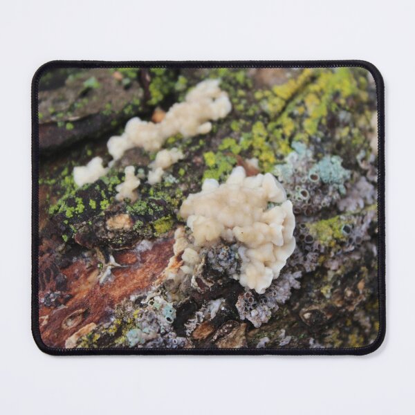 Item preview, Fungus on a Log designed and sold by Susie Kramer.