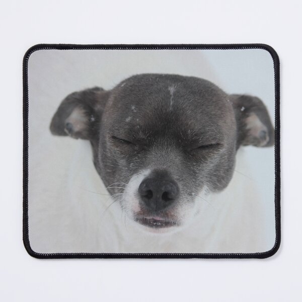 Item preview, Tonto in the Snow designed and sold by Susie Kramer.