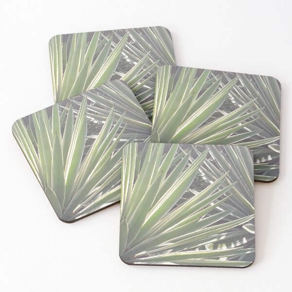 Item preview, Australian Yucca Plants designed and sold by Bennymp.