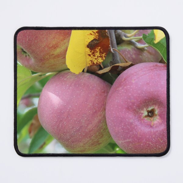 Item preview, Red Apples designed and sold by Susie Kramer.