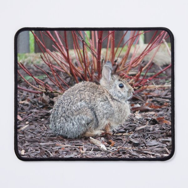 Item preview, Bunny 5 designed and sold by Susie Kramer.