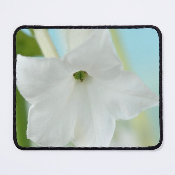 Item preview, Nicotiana sylvestris Tobacco plant designed and sold by Chris Burrows.