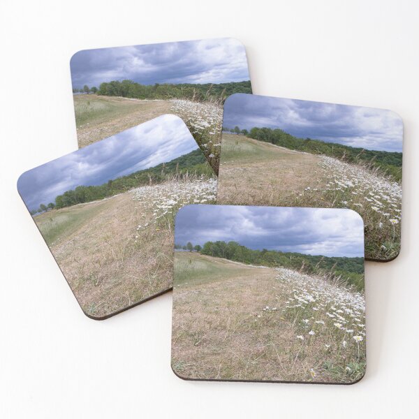 Item preview, Dramatic sky with flowers designed and sold by CoastPicsDesign.