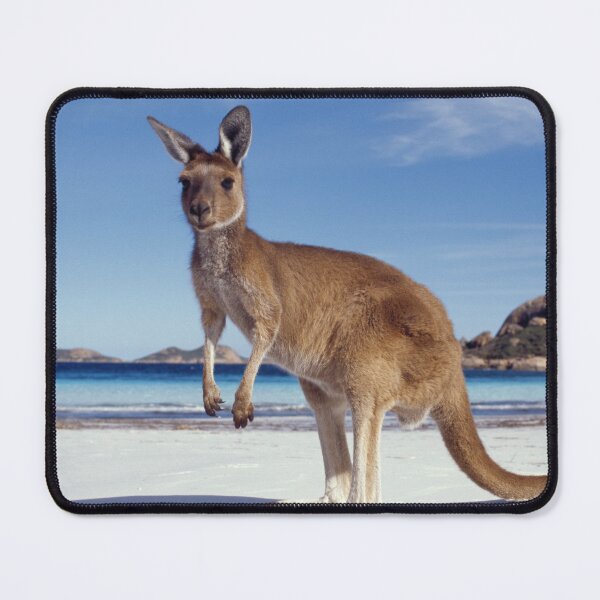 Item preview, Kangaroo animal from Australia designed and sold by Wellwest77.