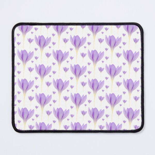 Item preview, Crocus goulimyi AGM Autumn flowering crocus designed and sold by Chris Burrows.