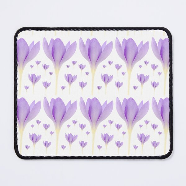 Item preview, Crocus goulimyi AGM Autumn flowering crocus designed and sold by Chris Burrows.
