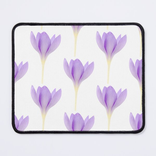 Item preview, Crocus goulimyi AGM Autumn flowering crocus designed and sold by Chris Burrows.