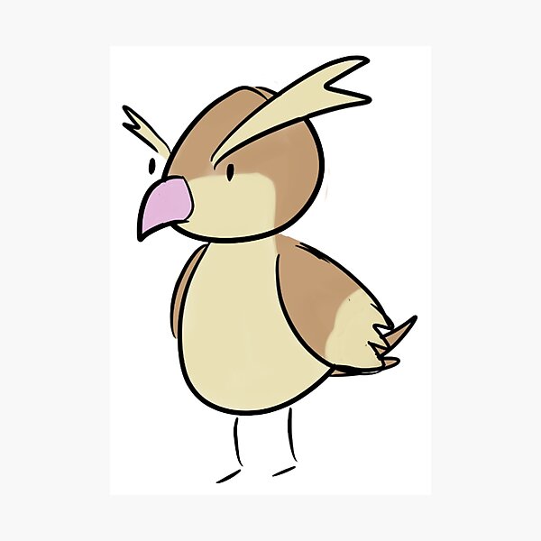 Pidgey Photographic Prints Redbubble