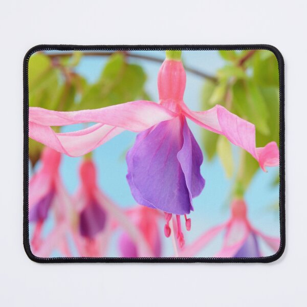 Item preview, Fuchsia  'Twist and Shout' designed and sold by Chris Burrows.